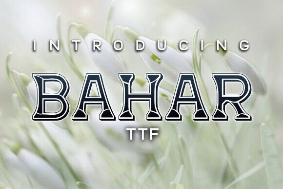Bahar Font: Elegant Display Type for Small Business Branding