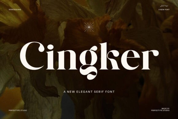 Cingker: A Modern Display Serif Font for Digital Design