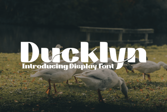 Ducklyn: A Modern Display Font That Elevates Digital Branding